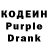 Amphetamine Premium Inna Nikolaeva