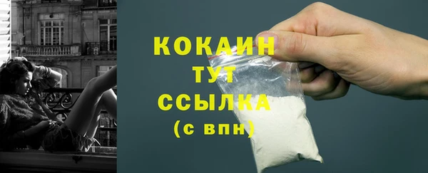 spice Богданович