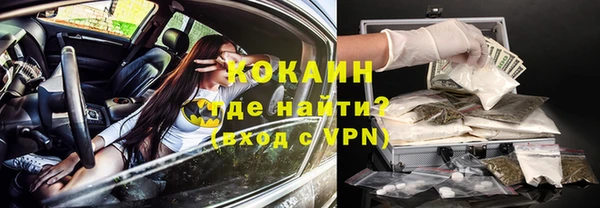 spice Богданович