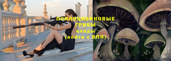 эйфоретик Богородск