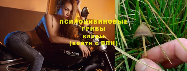 прущий лед Богородицк